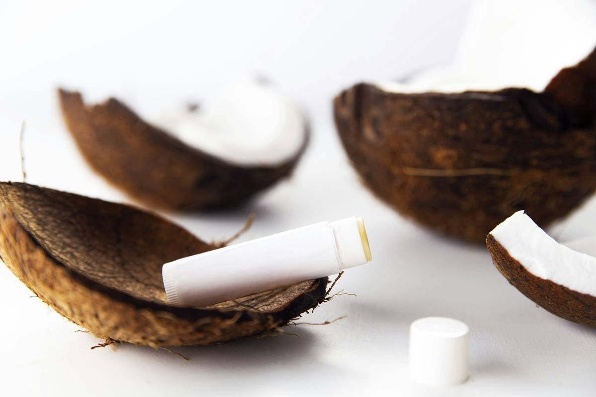 All Natural Paw Balm: The Overlooked Rescue for Cracked, Weather-Beaten Paws